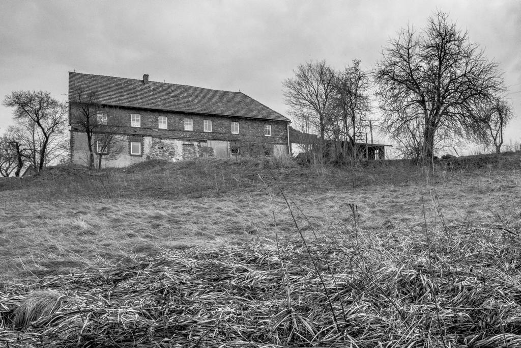 Gospodarstwo Agroturystyczne Powierzowka Лєшна Екстер'єр фото