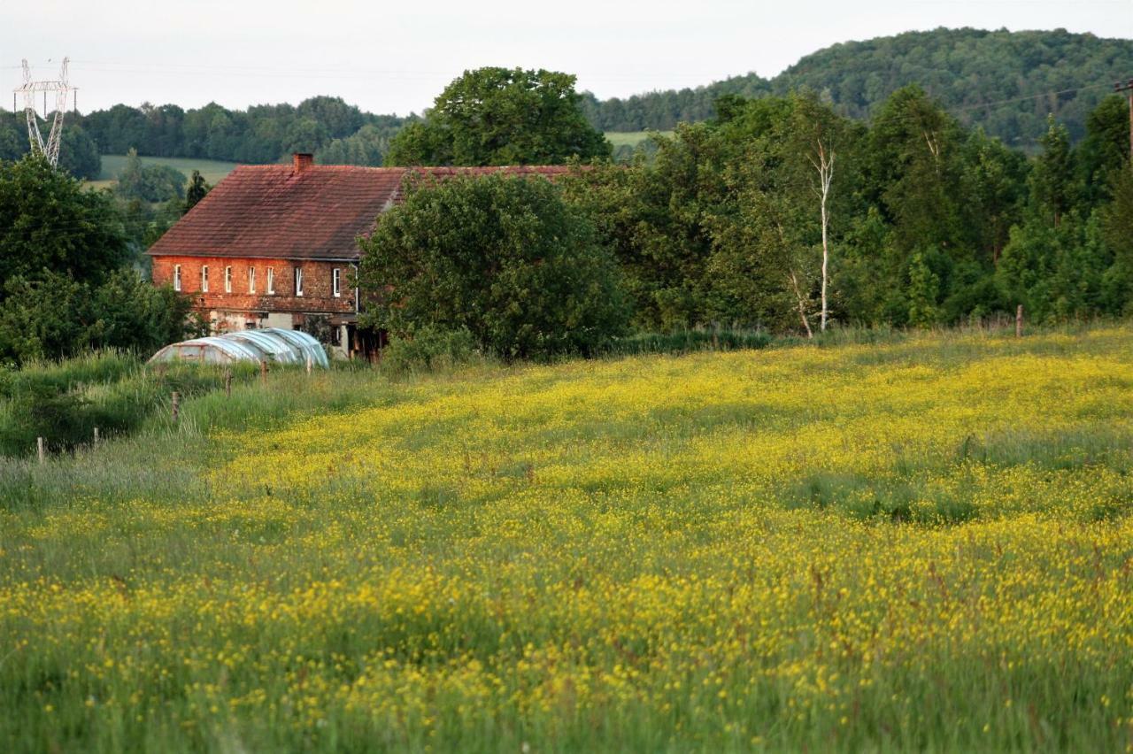 Gospodarstwo Agroturystyczne Powierzowka Лєшна Екстер'єр фото